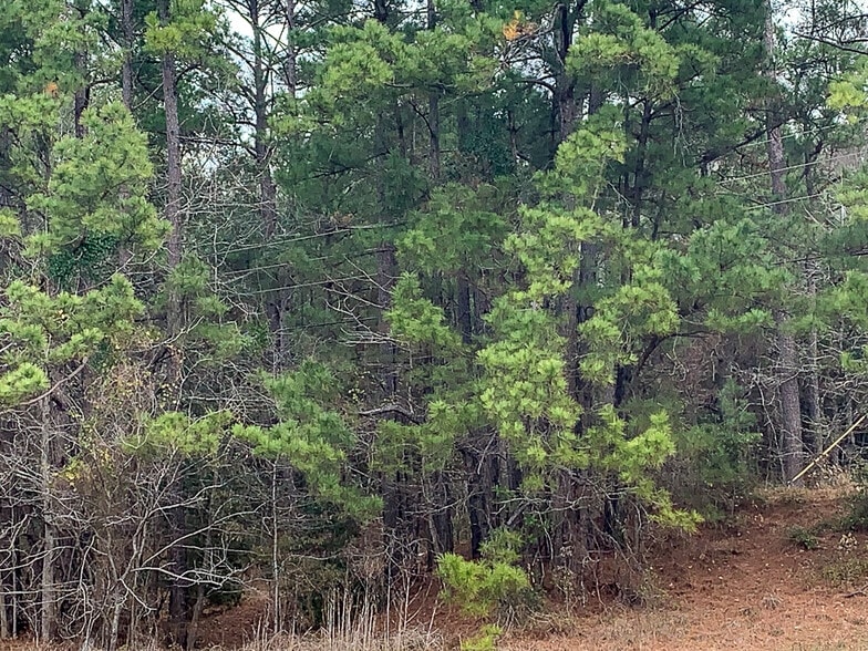 More Photos Of Highway 190, Huntsville Land For Sale