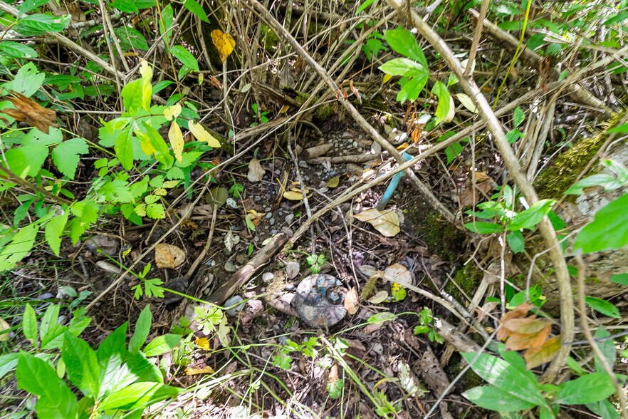 More Photos Of 115-155 Tremont Ave, Bellingham Land For Sale