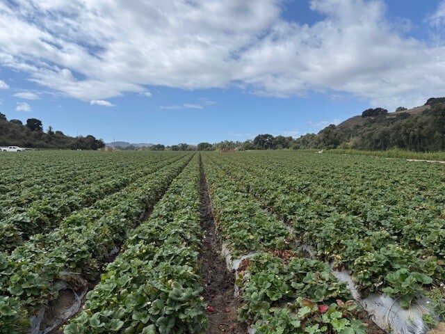 More Photos Of Murphy Hill Road, Watsonville Land For Sale