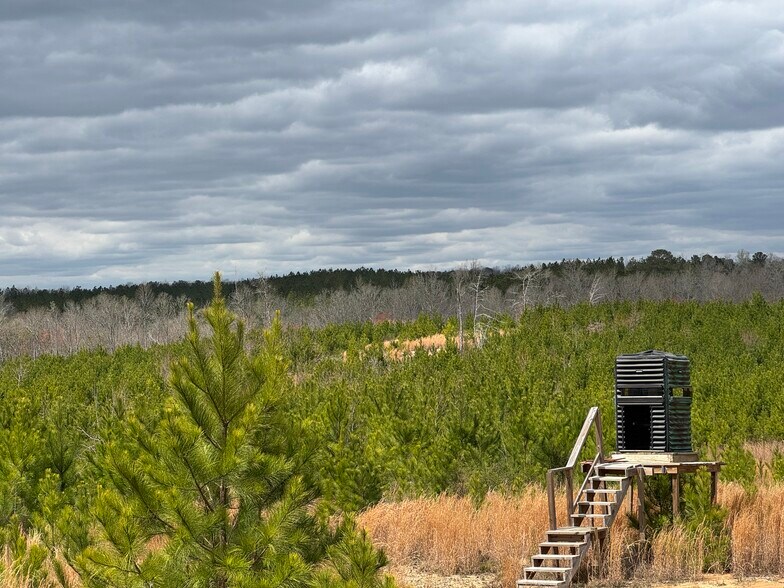 More Photos Of 10831 Highway 9, Kellyton Land For Sale