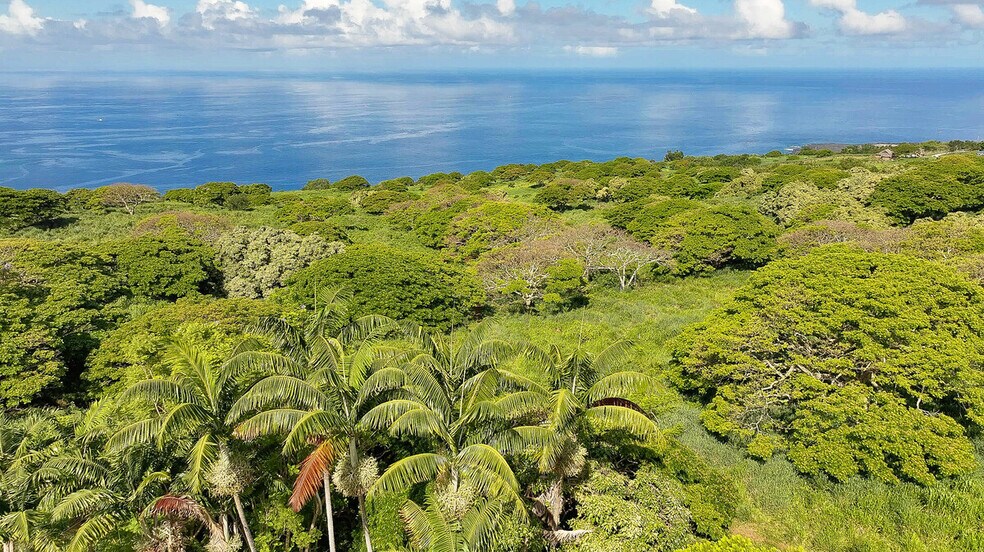 More Photos Of 82-6159 Napoopoo Rd, Captain Cook Land For Sale