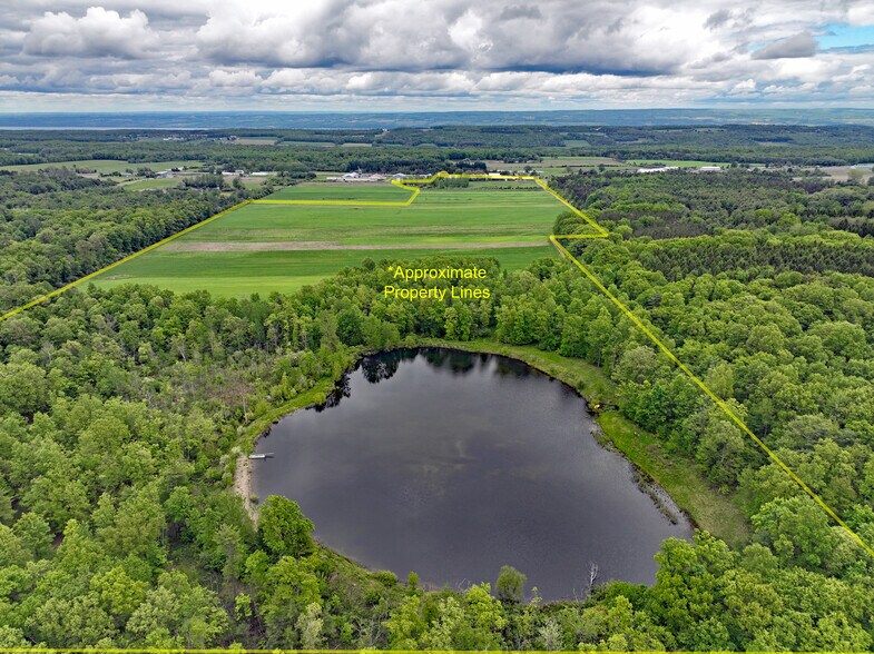More Photos Of 4172 Route 14A, Penn Yan Garden Center For Sale