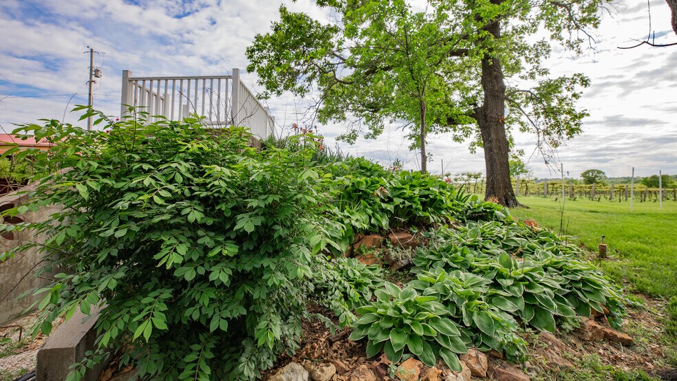 More Photos Of 8400 E 1320 Rd, Stockton Winery Vineyard For Sale