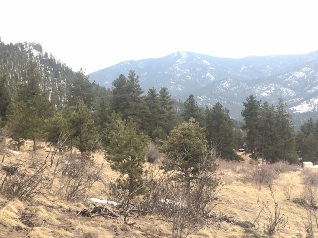 More Photos Of 62430 US Highway 285, Bailey Land For Sale