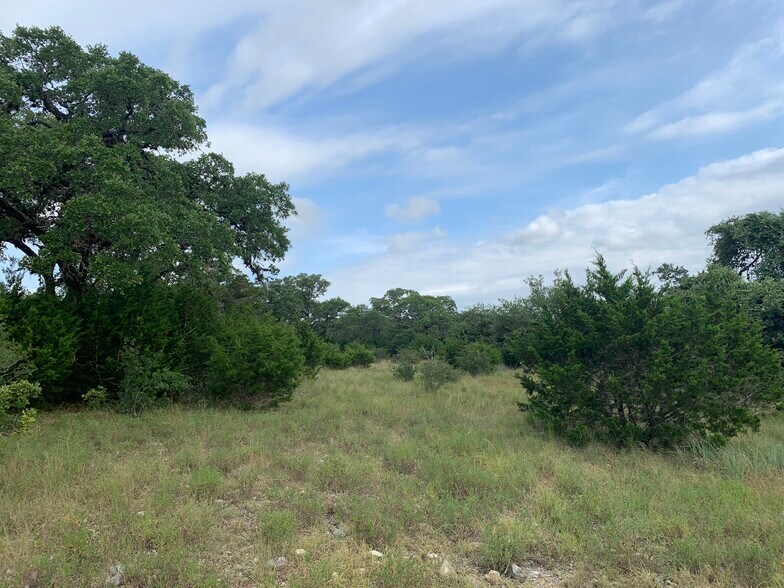 11435 Fm 32, Fischer, TX 78623 Land For Sale