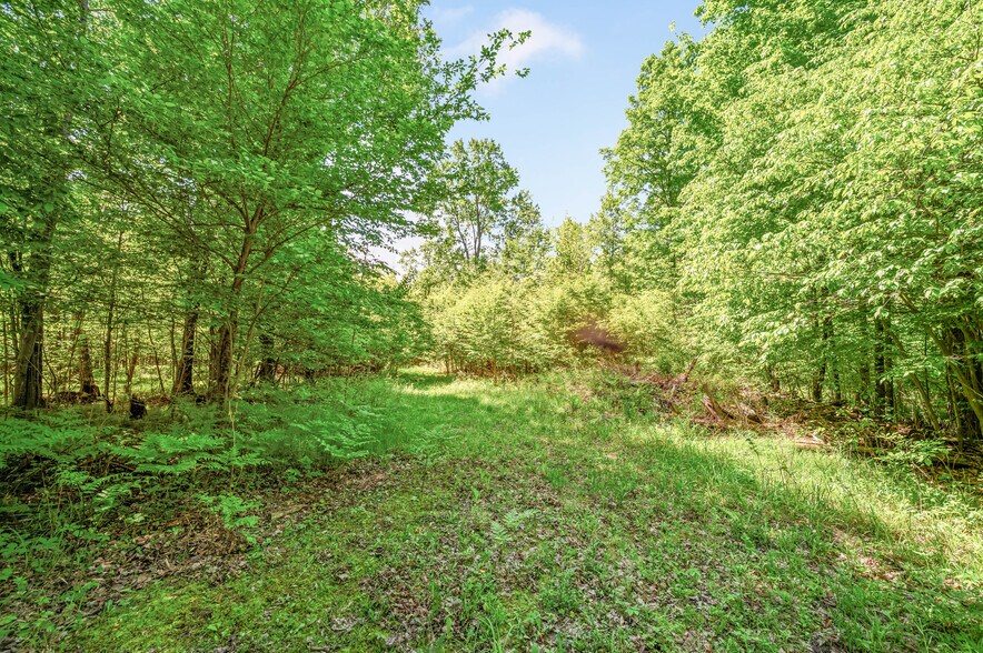 More Photos Of V/L 220th Ave, Big Rapids Land For Sale