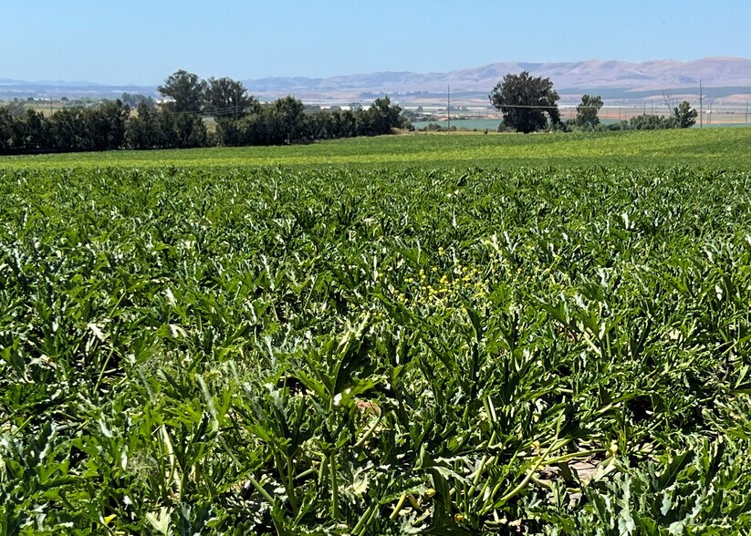 More Photos Of 3840 Orcutt Garey Rd, Santa Maria Land For Sale
