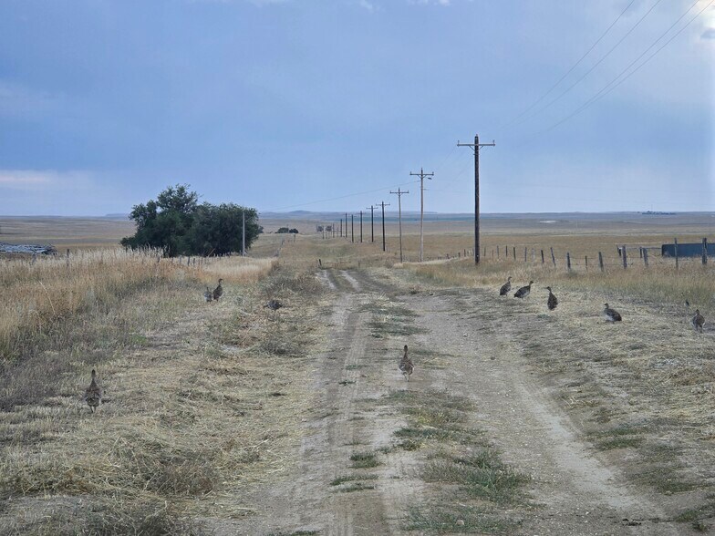 More Photos Of 5798 Road 146, Van Tassell Land For Sale