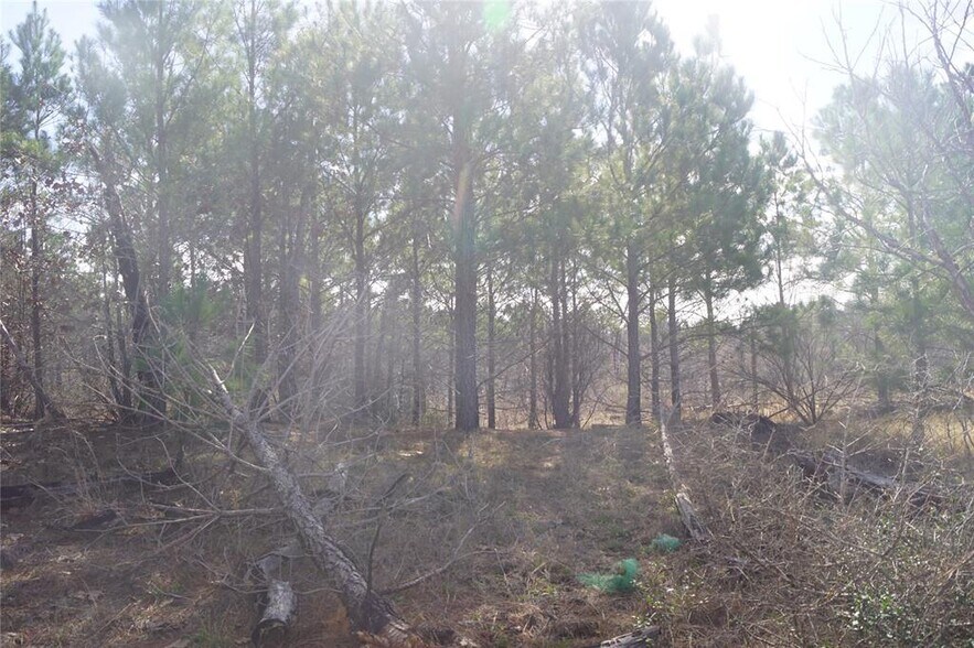 More Photos Of 488 Kelley Rd, Bastrop Land For Sale