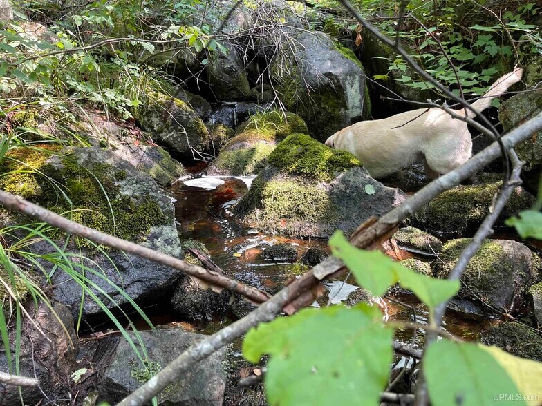 More Photos Of 26497 US-41, Covington Flex For Sale