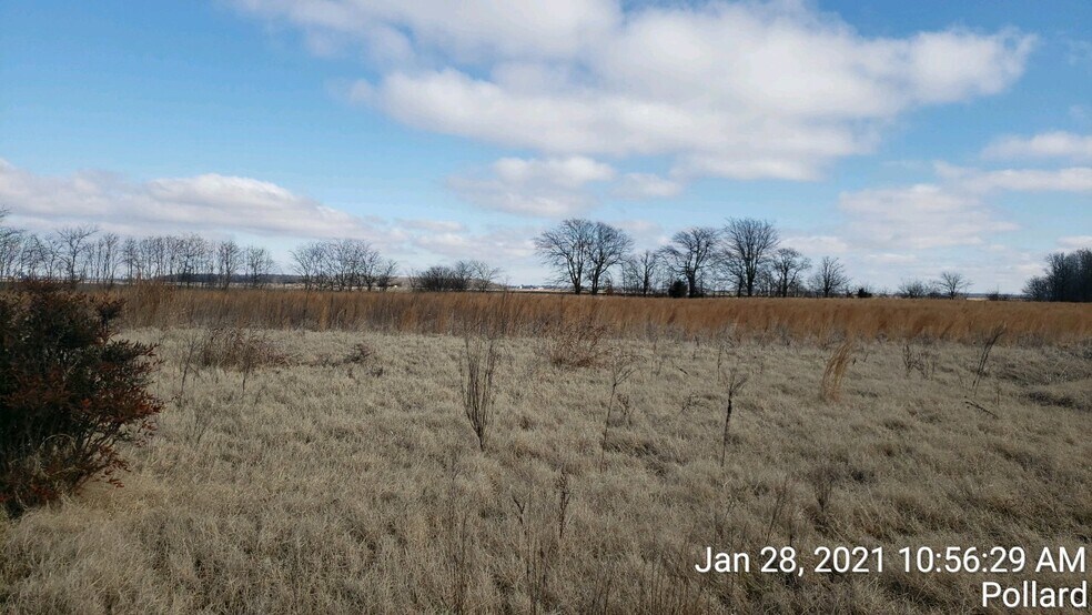 More Photos Of 74 County Road 325, Pollard Land For Sale