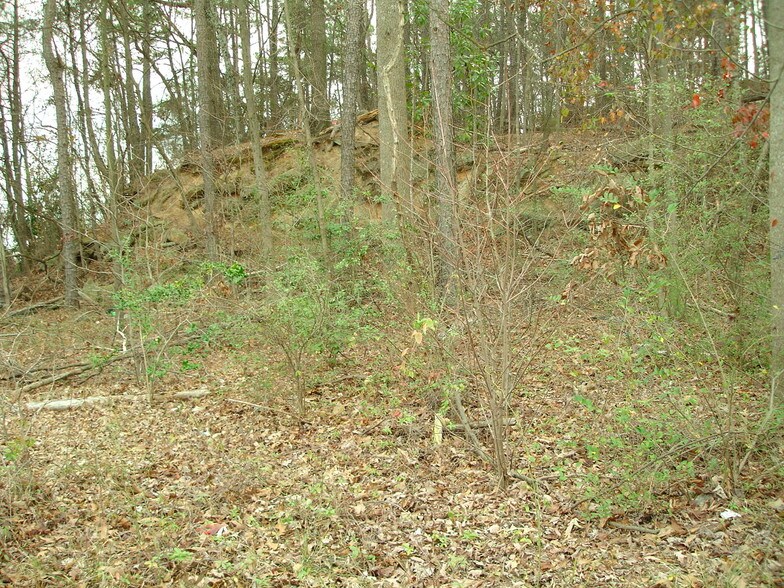 More Photos Of 1561-1565 Moreland Ave, Atlanta Land For Sale