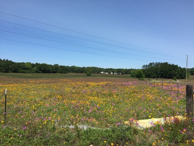 More Photos Of US Hwy 129, Live Oak Land For Sale