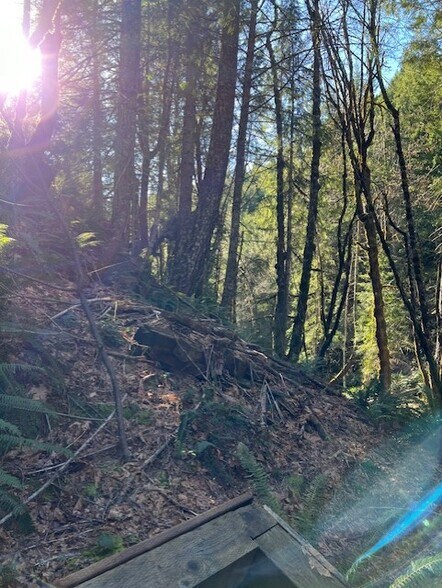 More Photos Of Highway 199, Crescent City Land For Sale