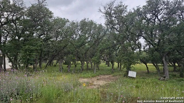 More Photos Of 874 Maximino Ridge Rd, Bulverde Land For Sale