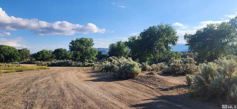 More Photos Of 5155 US Highway 50, Carson City Land For Sale