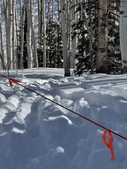 More Photos Of Parcels Logan lot 724 - U.P. No.2 lot 724 @ Red Cloud Rd., Park City Land For Sale