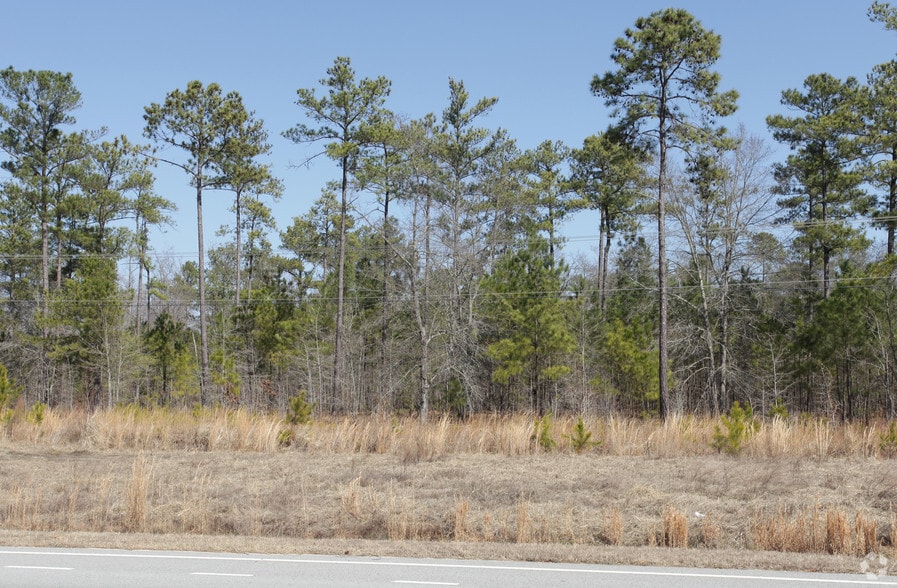 Hwy 555 & Farrow Rd, Blythewood, SC 29203 Land For Sale