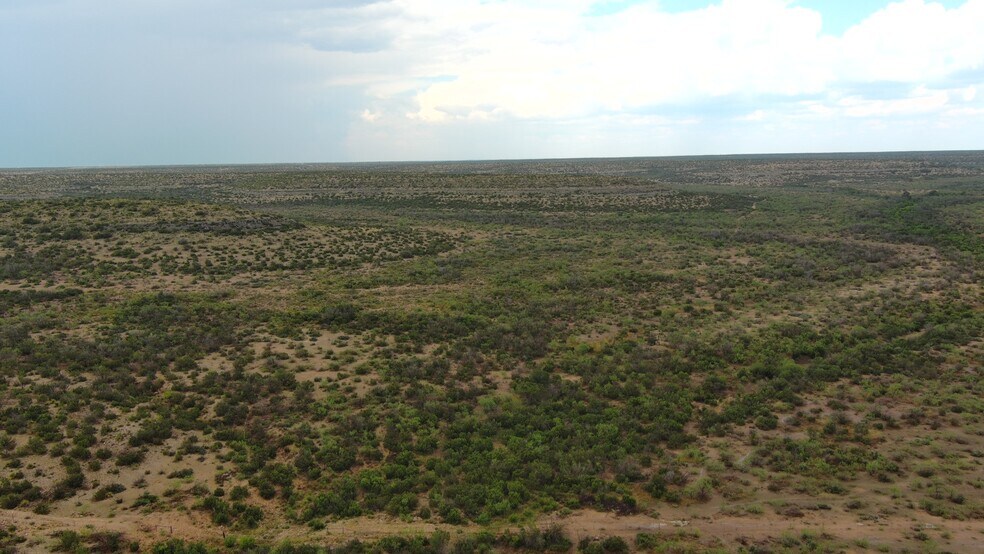 More Photos Of 0100 Cactus Rose Ln, Ozona Land For Sale