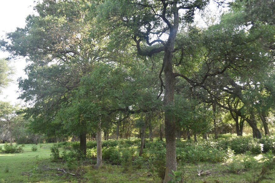 More Photos Of 18661 Wolfridge Rd, Killeen Land For Sale