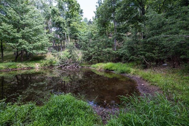 More Photos Of 22590 Criders Rd, Criders Land For Sale