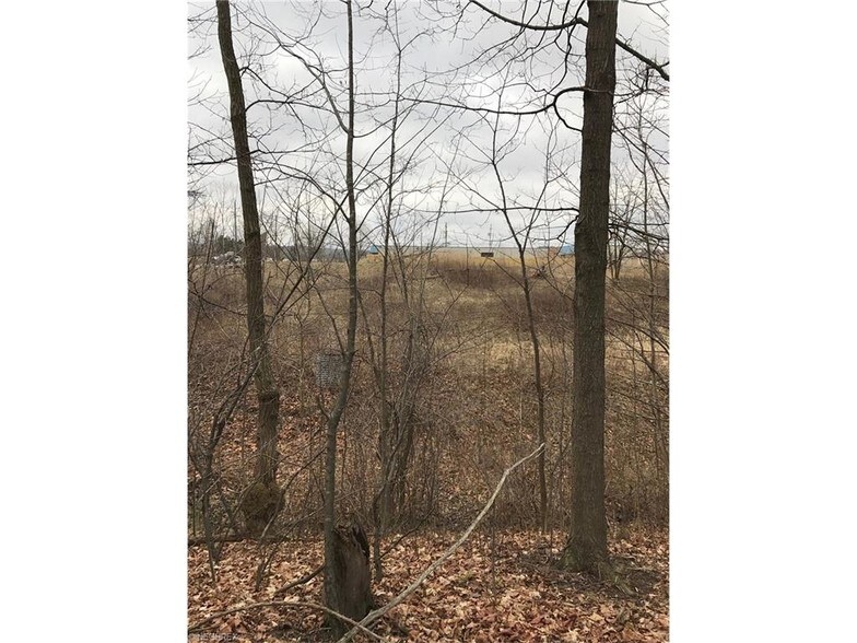 More Photos Of 11925 Royalton Rd, North Royalton Land For Sale