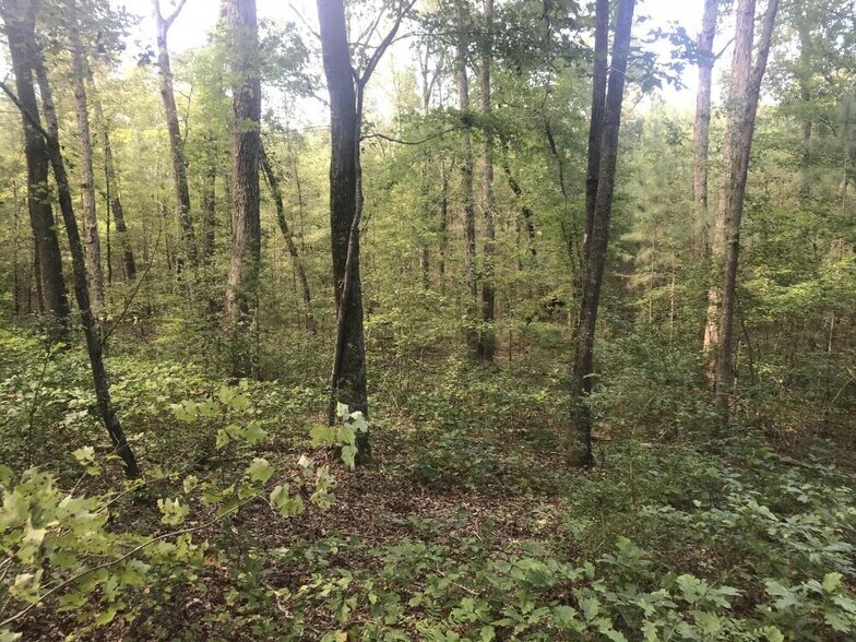 More Photos Of 1424 Shady Grove Rd, Irmo Land For Sale
