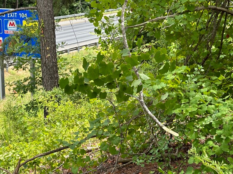 More Photos Of 22361 US Route 1 Hwy, Ruther Glen Land For Sale