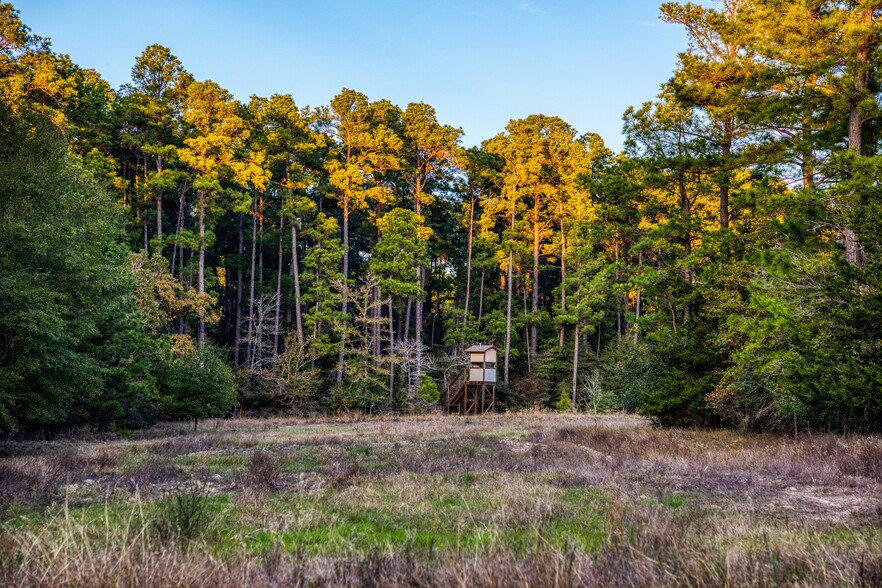 More Photos Of 11676 Highway 30, Anderson Land For Sale