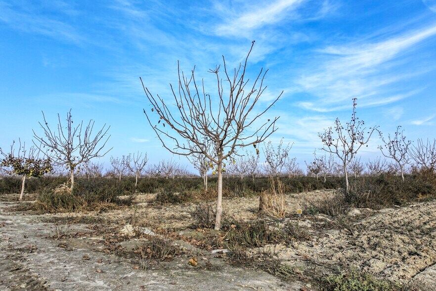 More Photos Of 7455 W Lincoln Ave, Fresno Land For Sale