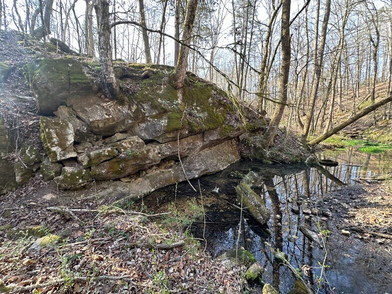 More Photos Of 7312 Highway 60, Georgetown Land For Sale