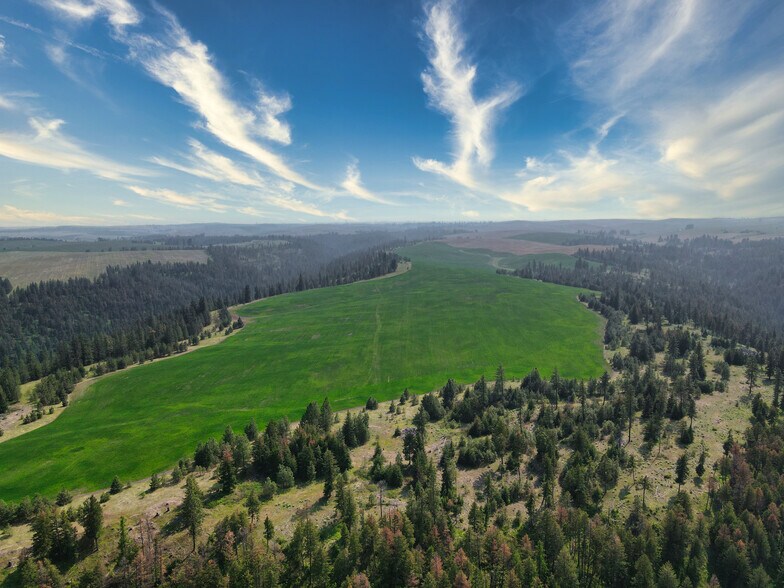 More Photos Of 45XXX Devore Rd, Davenport Land For Sale