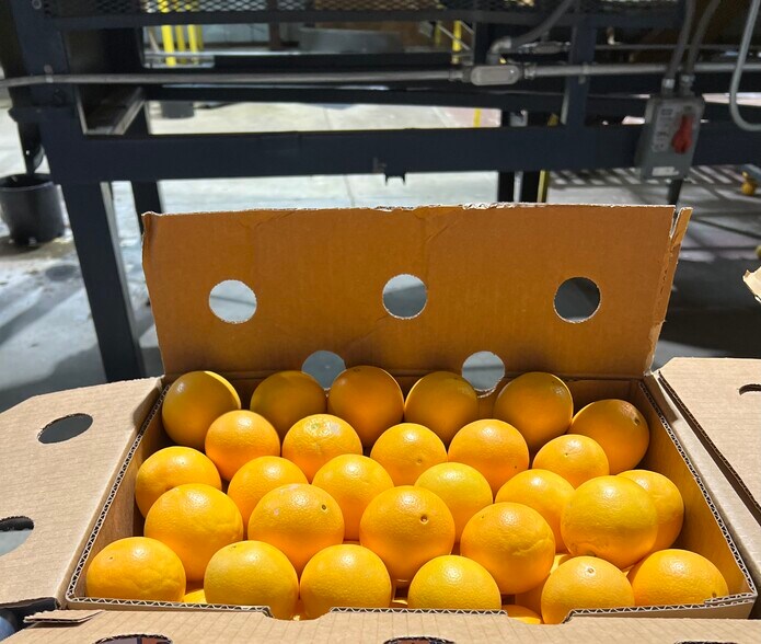 More Photos Of 8507 Rd 256, Terra Bella Food Processing For Sale