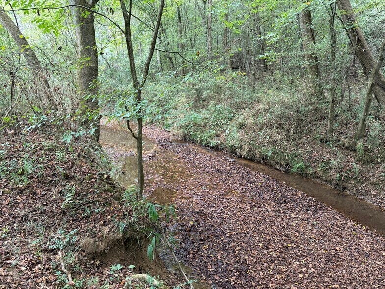 More Photos Of 0 County Road 60, Heflin Land For Sale