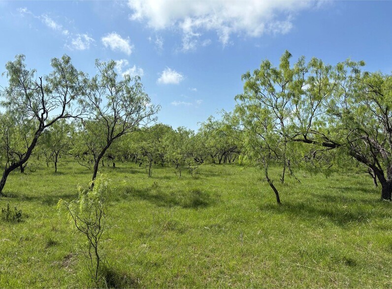 Primary Photo Of tbd 00 NW C R 4160, Frost Land For Sale