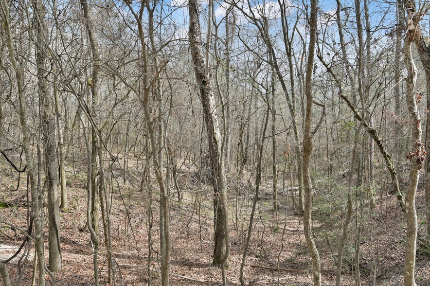 Primary Photo Of 0 Hwy 190, Oakhurst Land For Sale