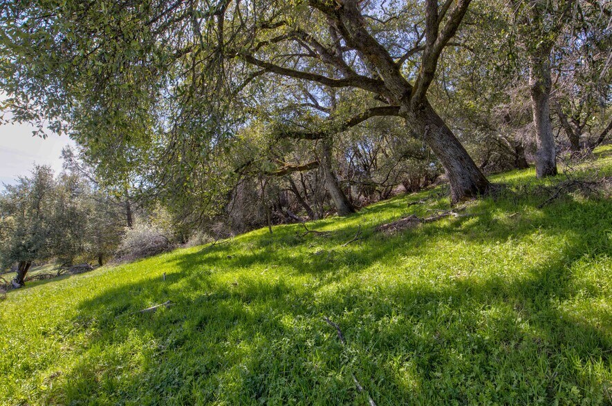 More Photos Of 18800 Charleston Rd, Volcano Land For Sale