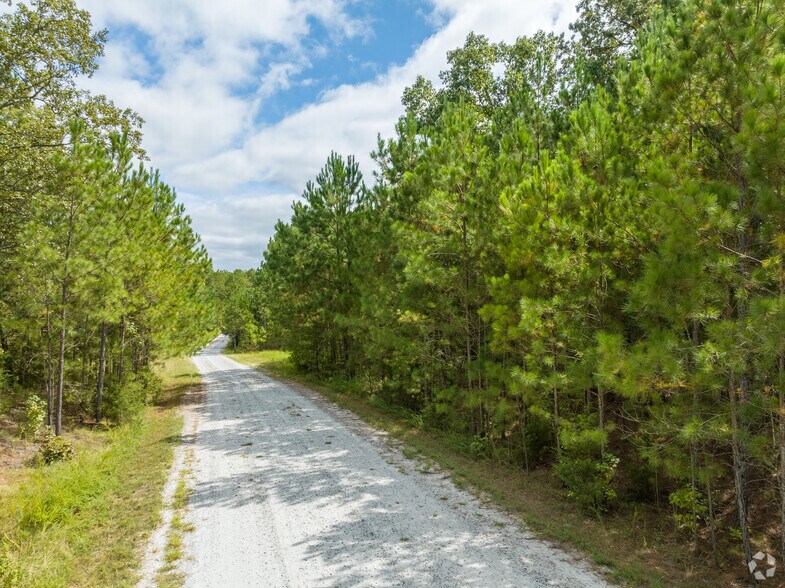 More Photos Of 173 Mill Creek Ln, McCormick Land For Sale