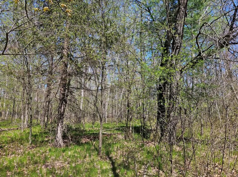 More Photos Of 2935 S Wisconsin Ave, Rice Lake Land For Sale