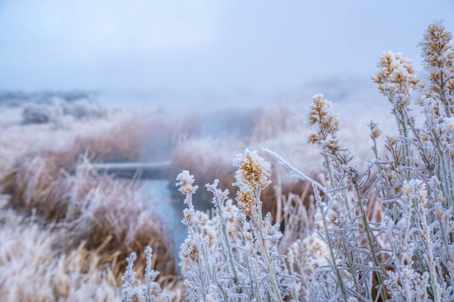 More Photos Of 67254 Highway 299 E, Cedarville Land For Sale