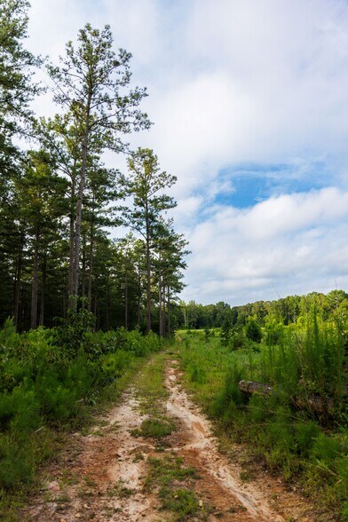 More Photos Of 2199 Roosterville Rd, Roopville Horse Stables For Sale