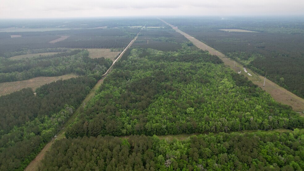 More Photos Of , Reevesville Land For Sale
