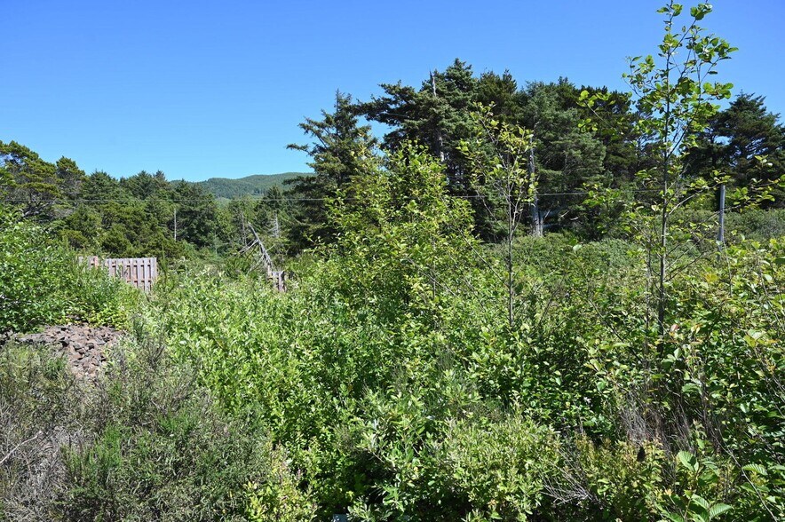 More Photos Of 400 Highway 101, Rockaway Beach Land For Sale