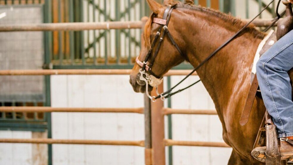 More Photos Of 352 MO-245, Dadeville Horse Stables For Sale