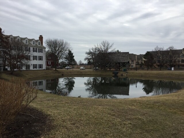 More Photos Of 1625 W Colonial Pky, Palatine Office For Lease