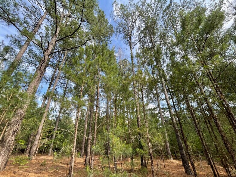 More Photos Of 229 Colbert Bridge Road, Windsor Land For Sale