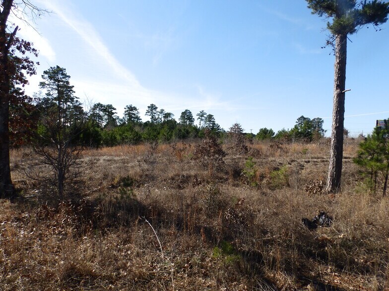 More Photos Of 20175 HWY 155 S, Flint Land For Sale