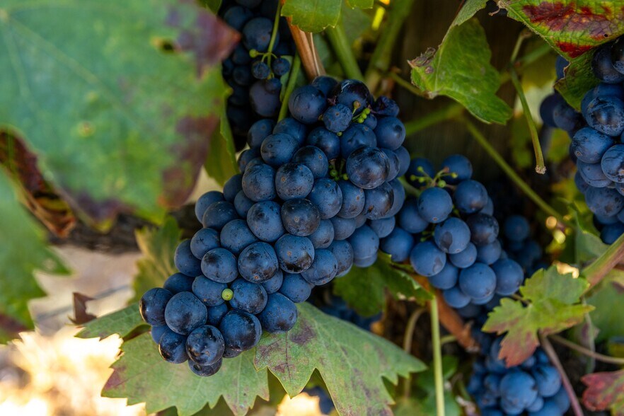 More Photos Of 13700 Rockpile Rd, Geyserville Land For Sale