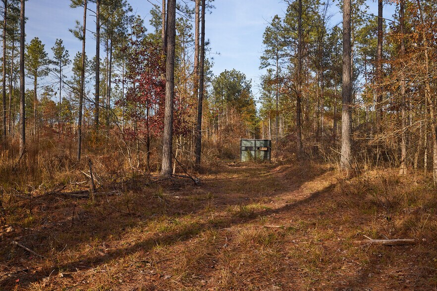 More Photos Of 480 Martin Rd, Cotton Valley Land For Sale