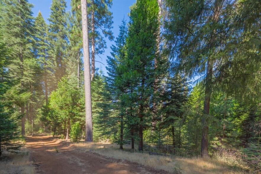 More Photos Of 1229 Blair Rd, Pollock Pines Land For Sale